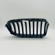 BMW 5 Series F10 F11 Left Passenger Side Se Kidney Grill 2010 – 2017 [x140]